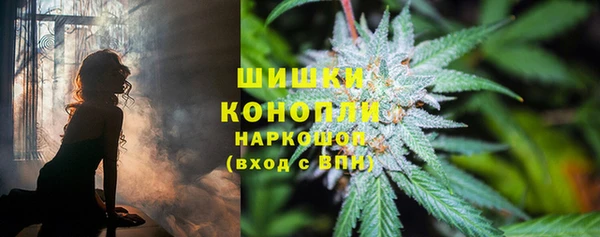 сатива Абинск