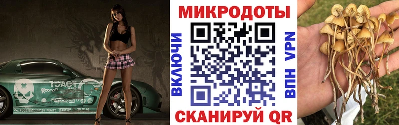 Галлюциногенные грибы прущие грибы  KRAKEN ТОР  Ужур 