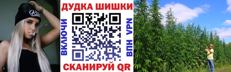 Каннабис сатива Ужур